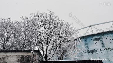 北京七九八冬季雪景初雪